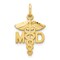 10K Yellow Gold Doctor of Medicine MD Caduceus Charm Jewerly 22mm x 13mm